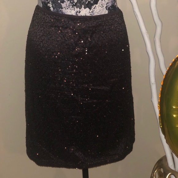 Sequin Skirt - Picture 1 of 2